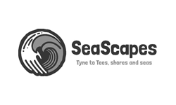 seascapes